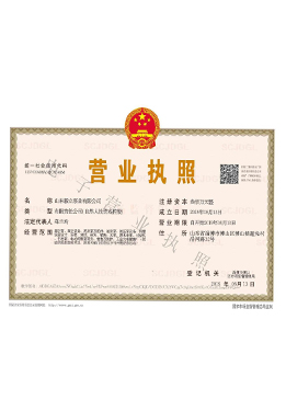 電(diàn)子營業執照